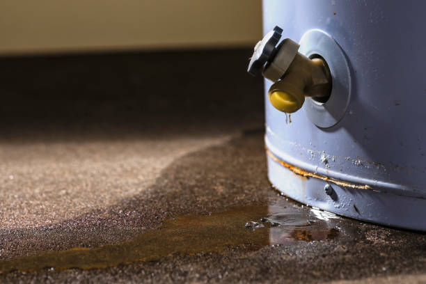 Best Local water damage restoration  in Greenville, NC