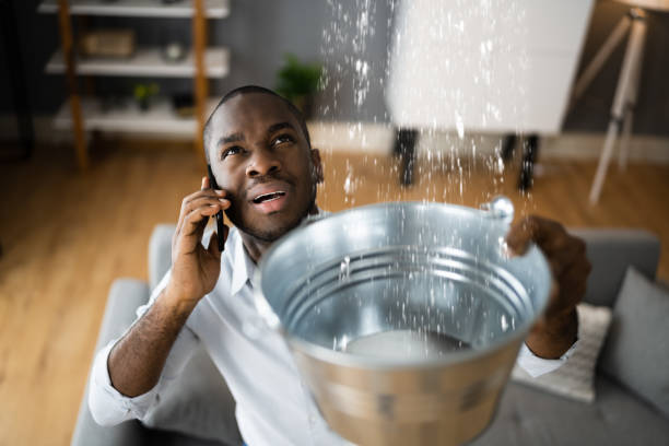 Best Residential water damage restoration  in Greenville, NC