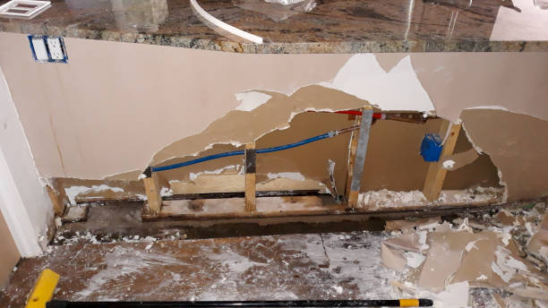 Best Water damage contractors near me  in Greenville, NC
