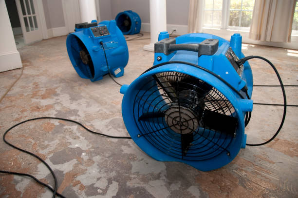 Best Flood damage cleanup  in Greenville, NC