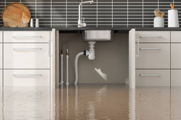 Best Flooded house restoration  in Greenville, NC
